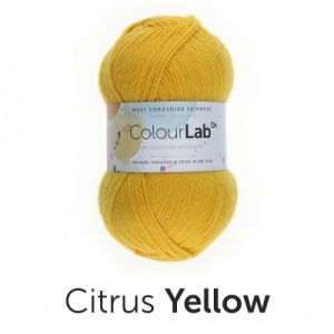 WYS ColourLab DK 100g - Citrus Yellow
